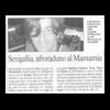 Senigallia, afroraduno al Mamamia